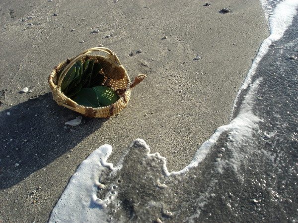 Basket-on-the-beach