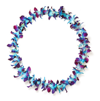 blue-purple-lei