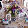 IMG_3355 IMG_3355