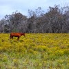 IMG_3416 IMG_3416