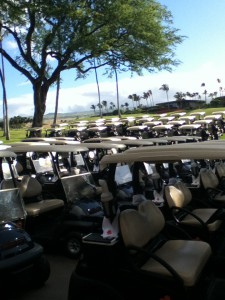 Golf Carts ready to go