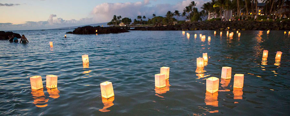 paper lanterns floating in an ocean cove at sunset